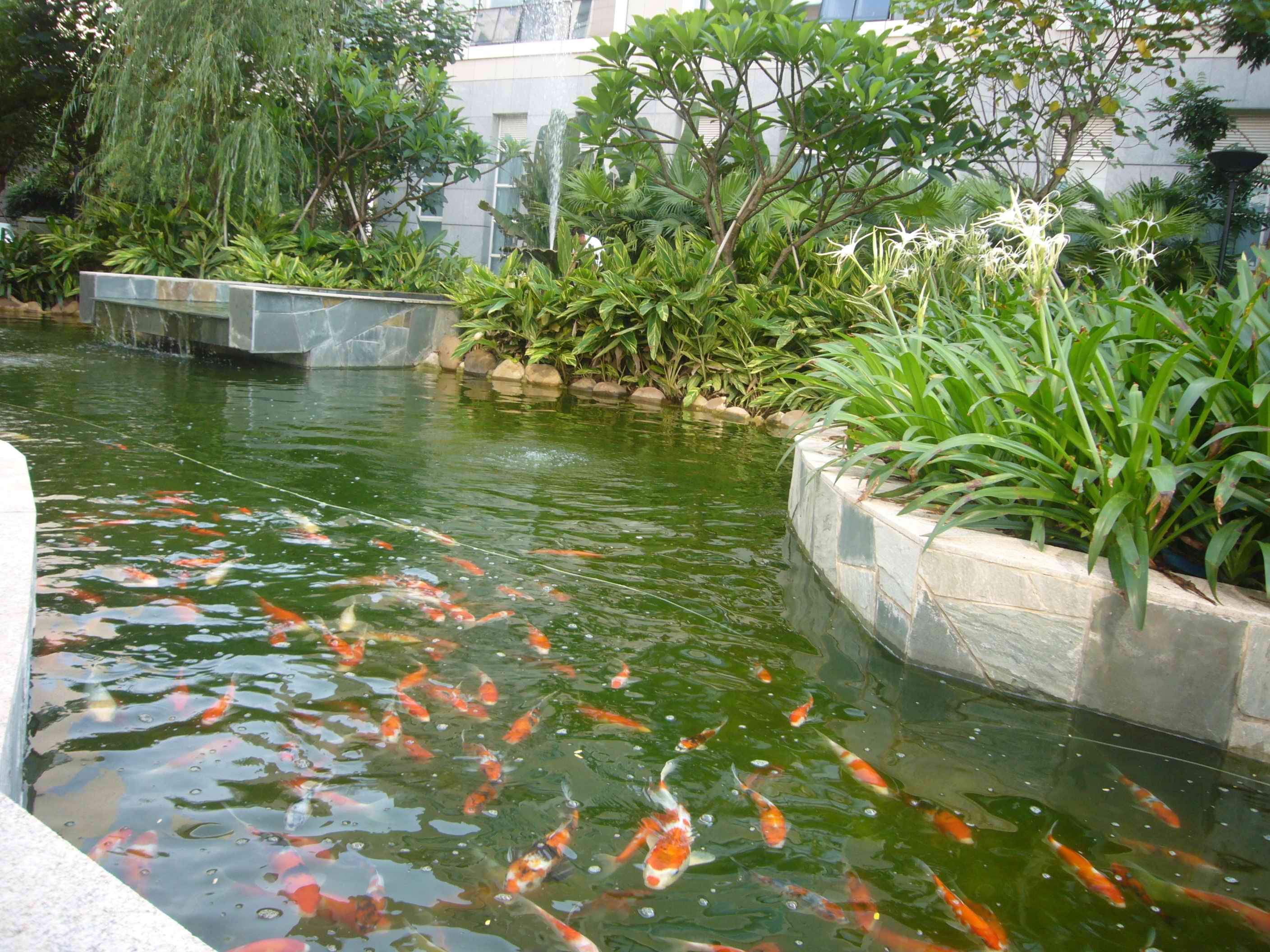 二等奖（098+游）