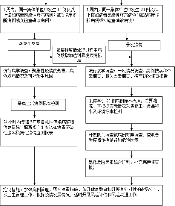 1周内，同一集体单位中发生10例及以上诺如病毒感染性腹泻病例（包括临床诊断病例或实验室确诊病例）,1周内，同一集体单位中发生20例及以上诺如病毒感染性腹泻病例（包括临床诊断病例或实验室确诊病例）,聚集性疫情,暴发疫情,流行病学调查：聚集性疫情的规模、病例发病情况及可能发生原因,流行病学调查：一般情况调查、病例搜索和个案调查、相关因素调查、撰写初次调查报告,聚集性疫情处理过程中病例数增加达到暴发疫情标准,24小时内登陆“广东省急性传染病监测信息系统”填写《广东省诺如病毒感染性腹泻聚集性疫情监测报表》,采集全部病例标本检测,采集至少20例病例标本检测，若要溯源，可根据实际情况采集厨工、食品和水及环境标本检测

,开展队列调查或病例对照调查，查明暴发疫情传播途径和危险因素

,暴露危险因素综合研判，补充完善调查报告

,控制措施：加强病例管理，落实消毒措施，做好健康教育和开展有针对性的食品安全、水卫生管理工作。根据疫情发展情况，适时开展风险评估和风险沟通工作。