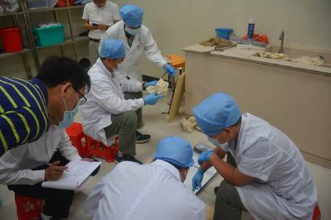 说明: 说明: 10.15.0.21防疫科卫生信息专报20182018.5.7-8我市举办鼠疫监测培训班图4.省疾控中心专家演示鼠及鼠体蚤鉴别.JPG