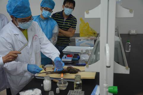 说明: 说明: 10.15.0.21防疫科卫生信息专报20182018.5.7-8我市举办鼠疫监测培训班图5.省疾控中心专家演示鼠解剖的操作.JPG