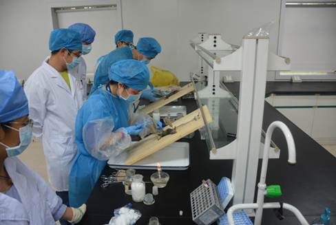 说明: 说明: 10.15.0.21防疫科卫生信息专报20182018.5.7-8我市举办鼠疫监测培训班图6.我中心工作人员采集鼠器官样本.JPG