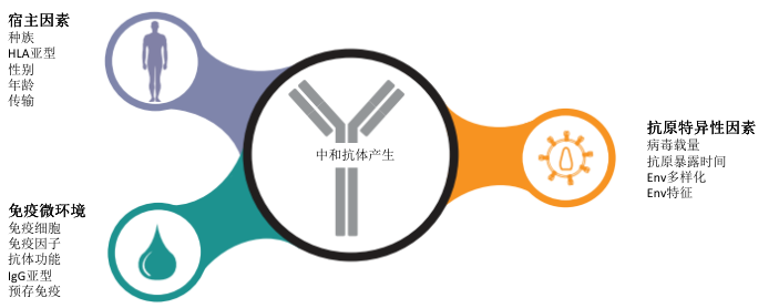 图1  广谱中和抗体的产生因素.png