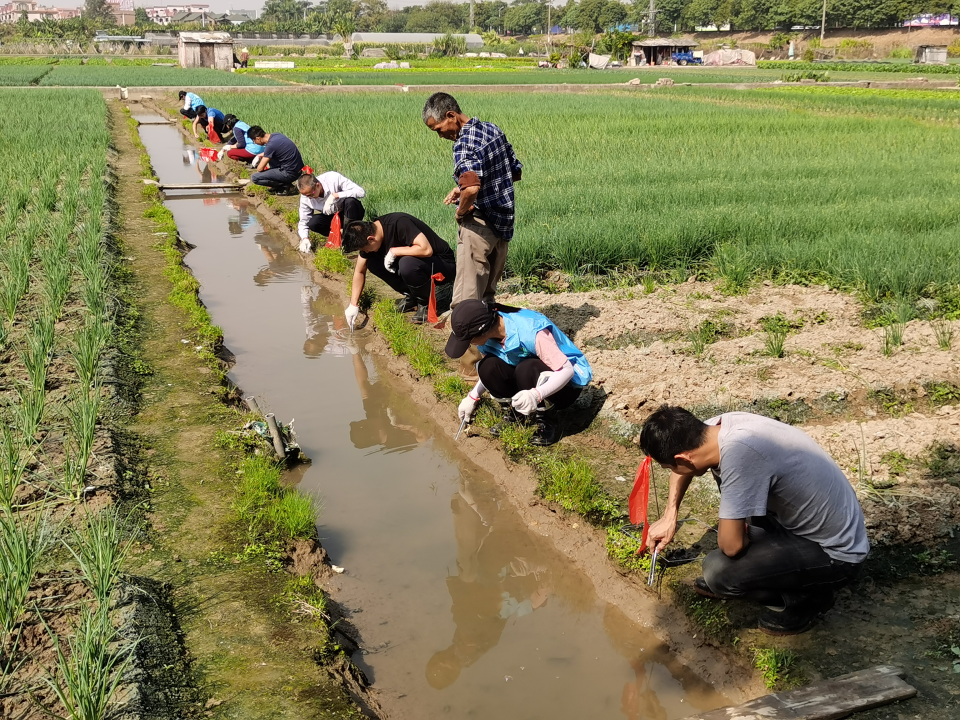 图3 市镇两级疾控中心在石碣镇开展秋季查螺工作.jpg