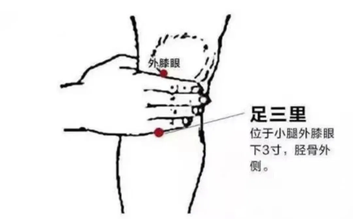 足三里.png