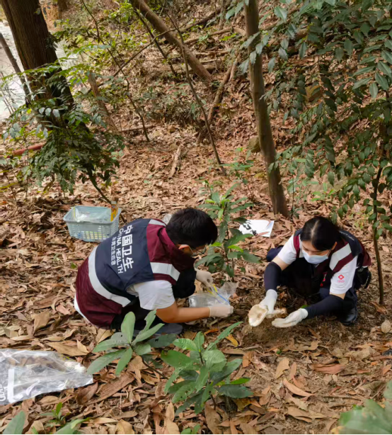 I183-信息公开审批表-我中心开展“守护舌尖上的安全 防范毒蕈中毒”食品安全健康宣教活动-李蟠莹-2026-03-30742.png