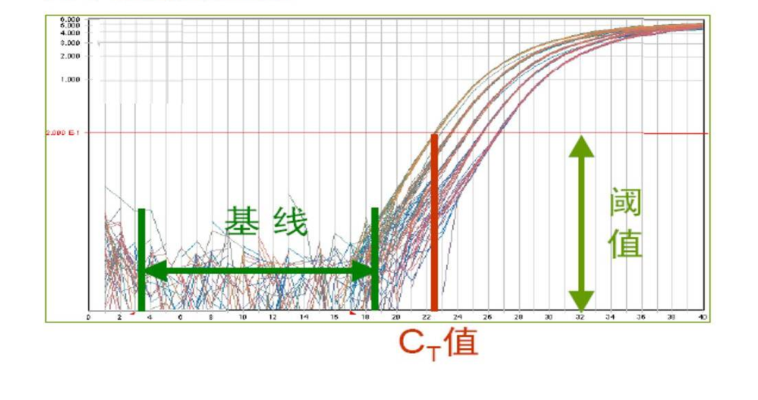 实时荧光定量pcr曲线图片